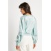 Fitted Sleeve Silky Blouse